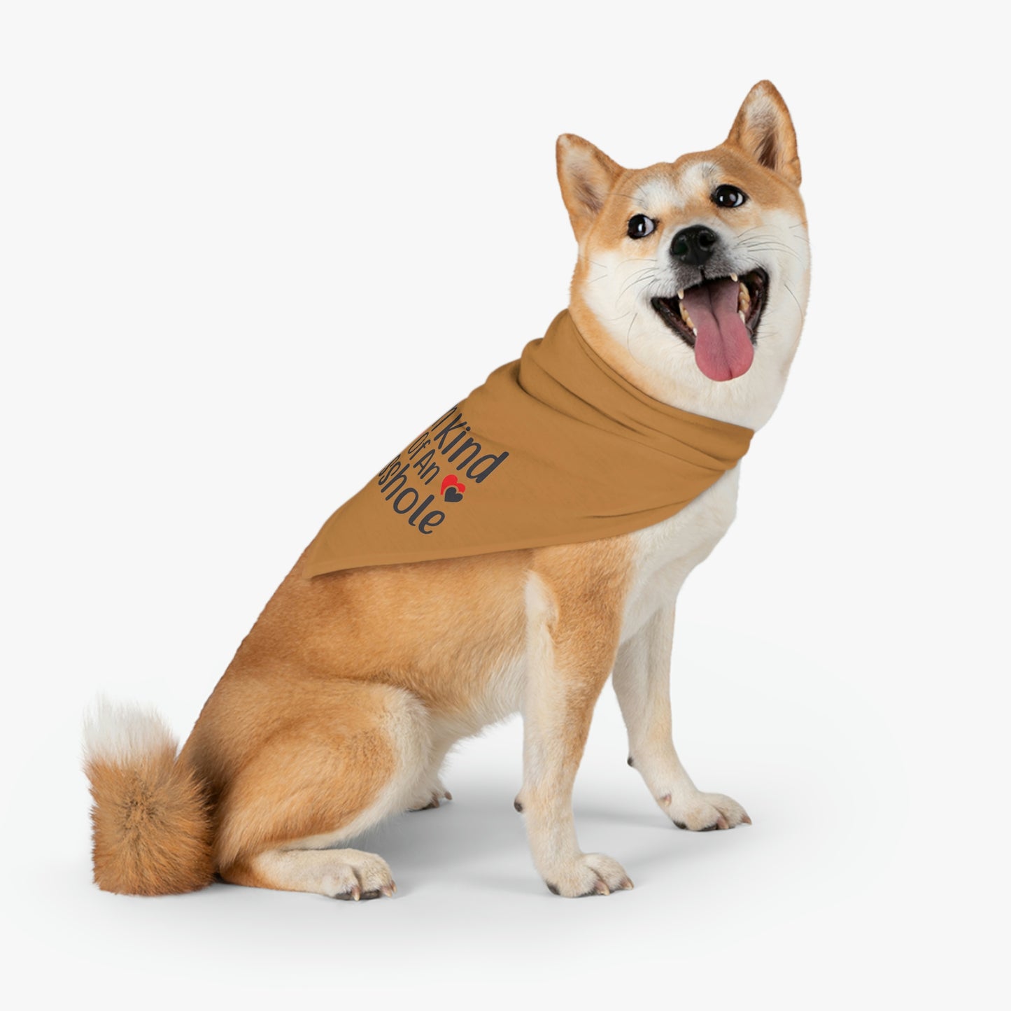 I'm Kind of An A**hole Pet Bandana