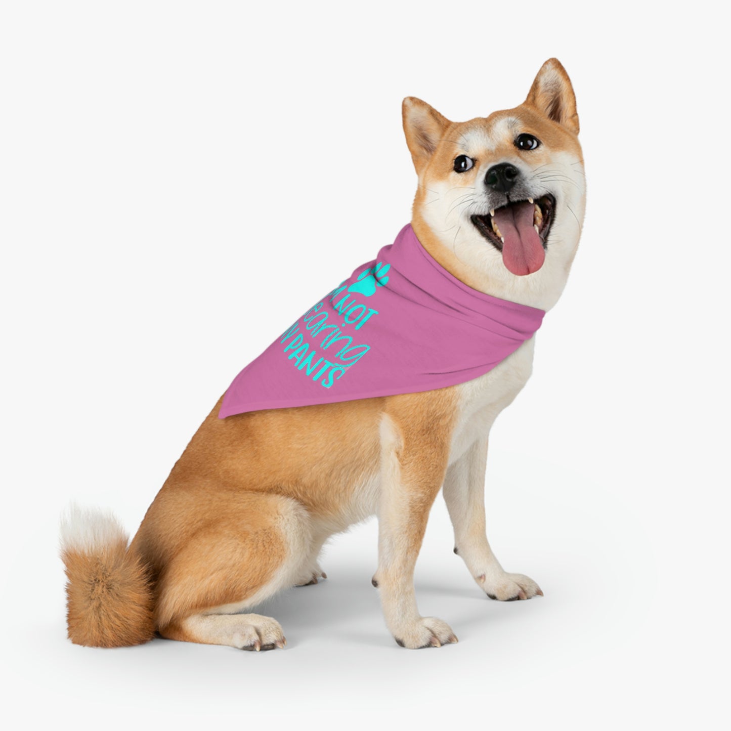 I'm Not Wearing Pants Pet Bandana