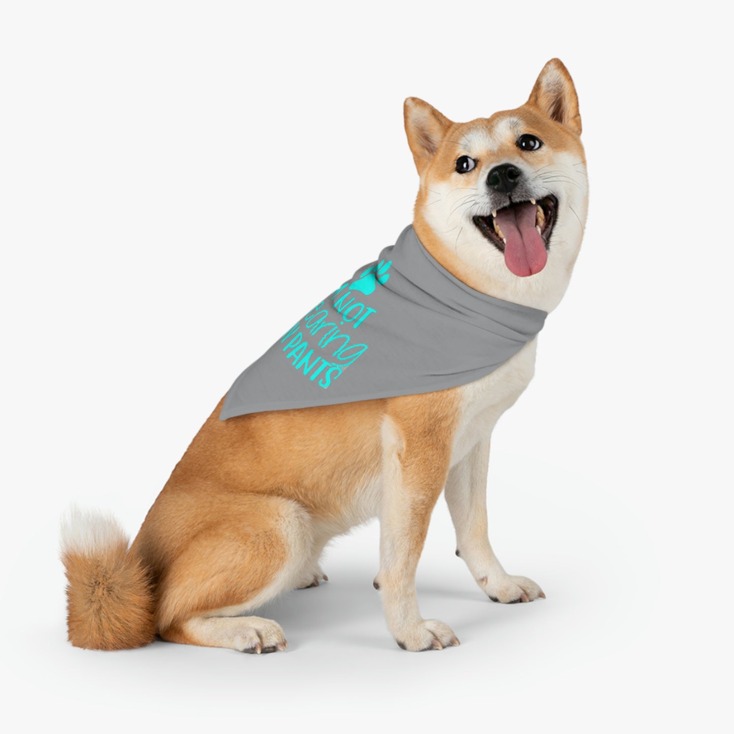I'm Not Wearing Pants Pet Bandana