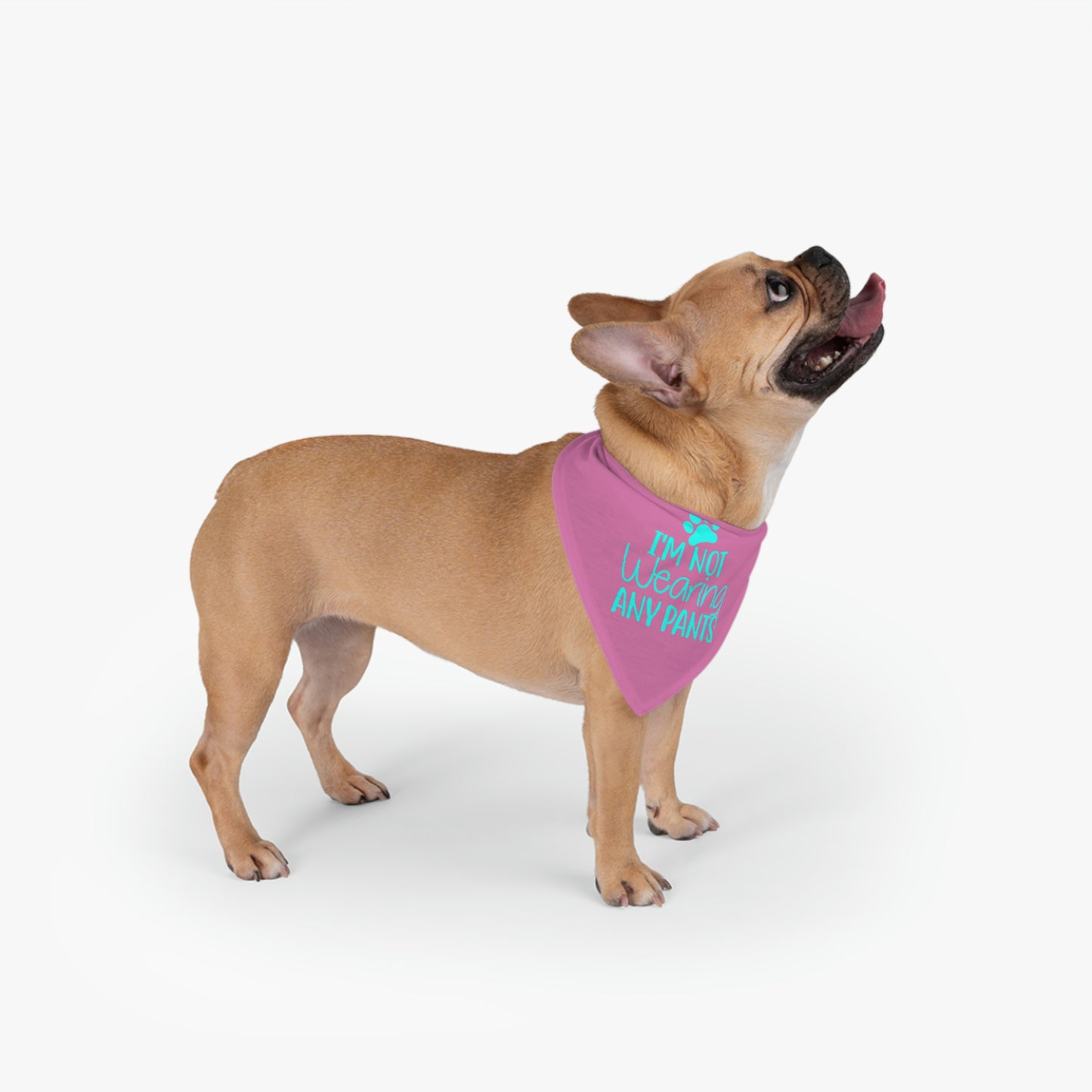 I'm Not Wearing Pants Pet Bandana