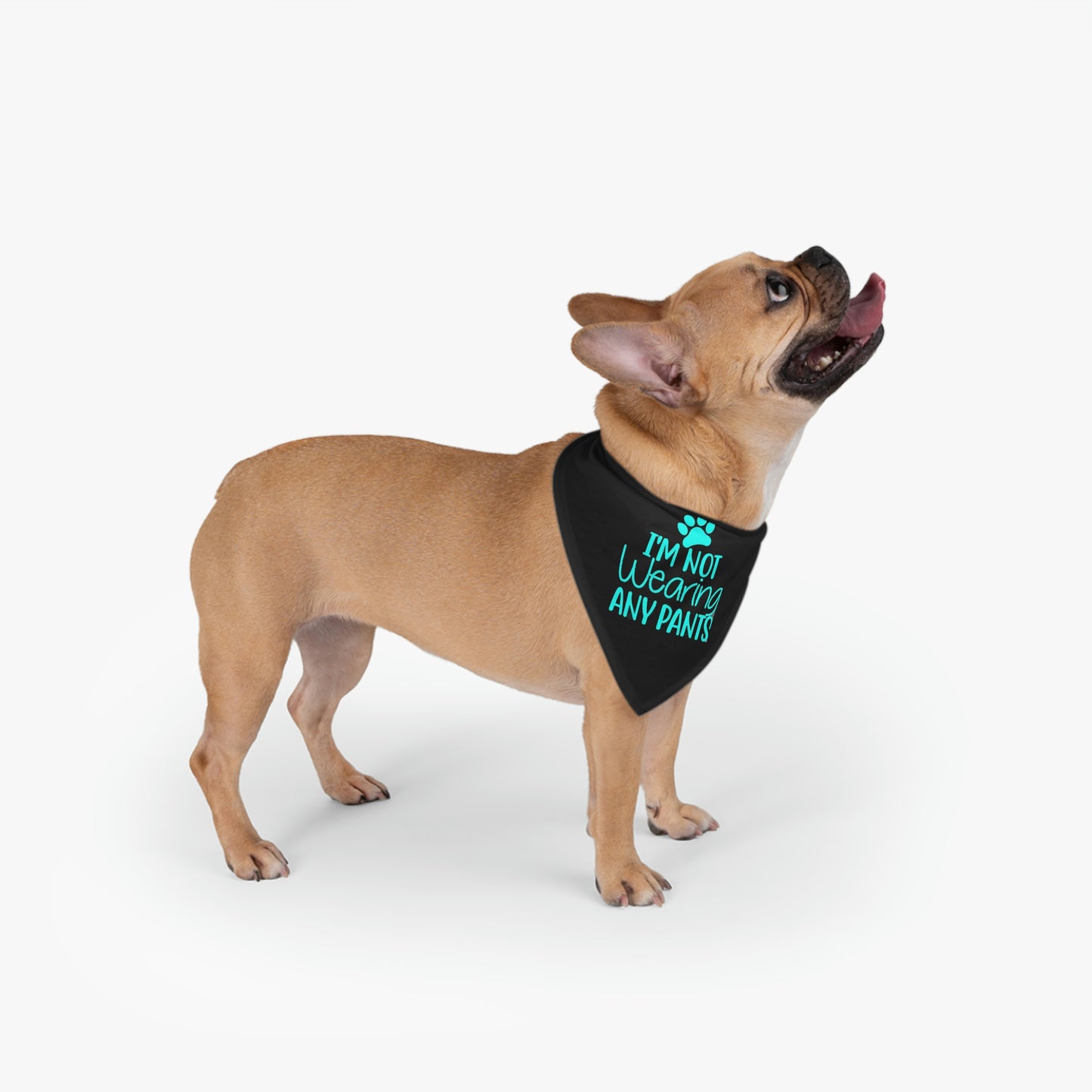 I'm Not Wearing Pants Pet Bandana