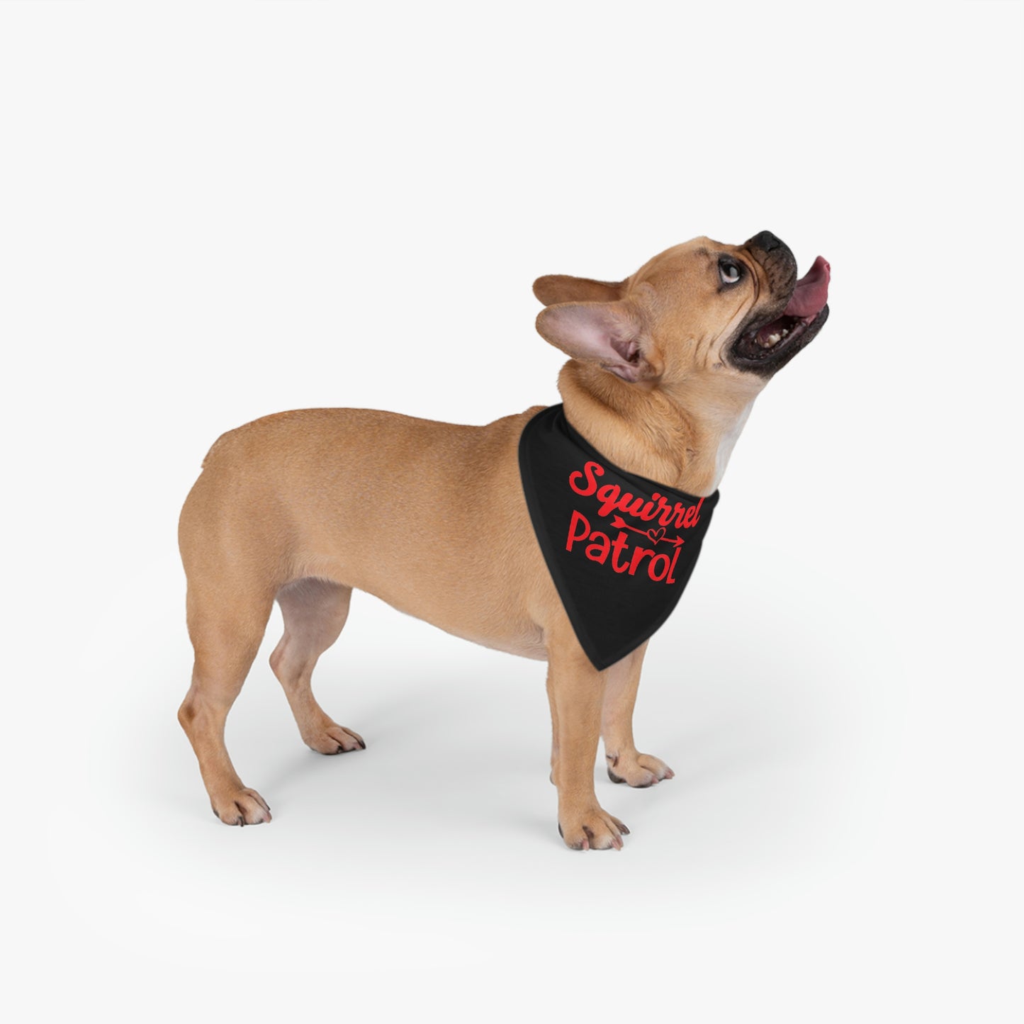 Squirrel Patrol Pet Bandana