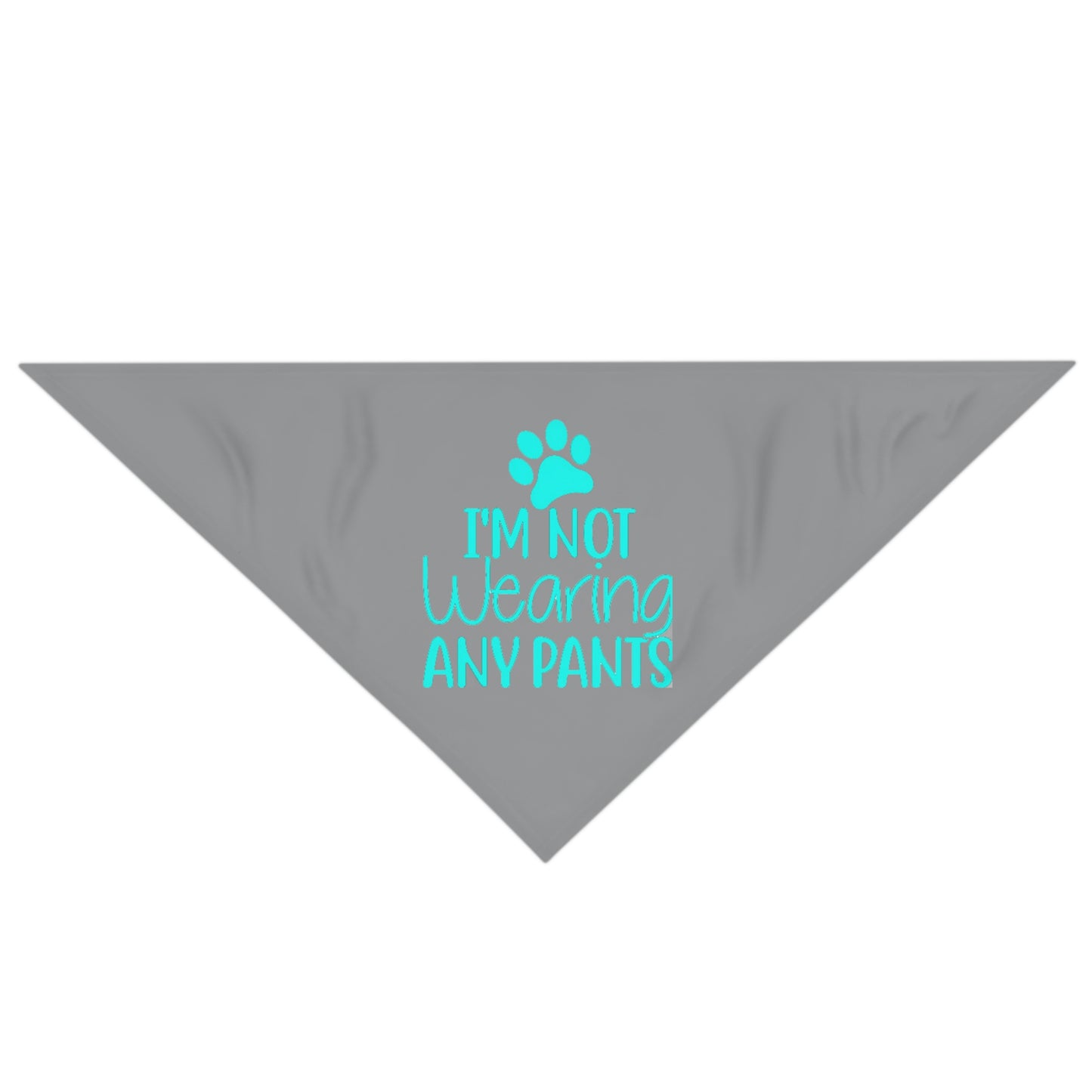 I'm Not Wearing Pants Pet Bandana