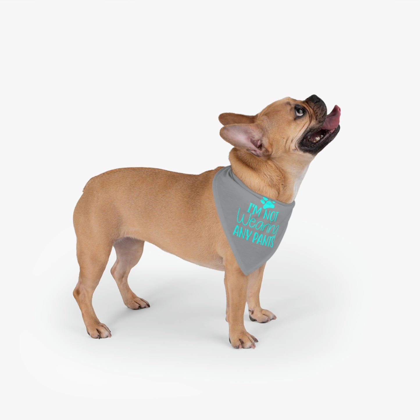 I'm Not Wearing Pants Pet Bandana