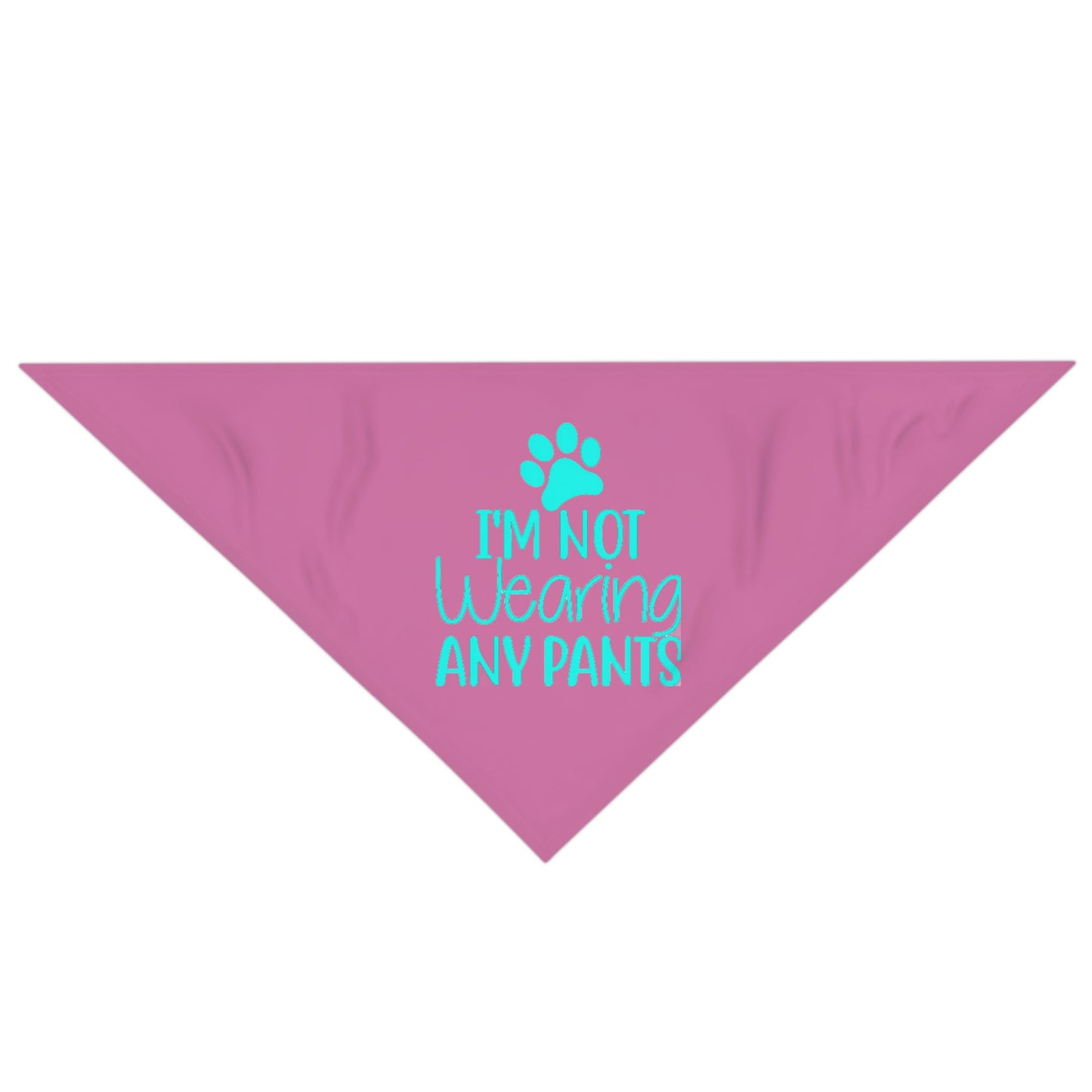 I'm Not Wearing Pants Pet Bandana